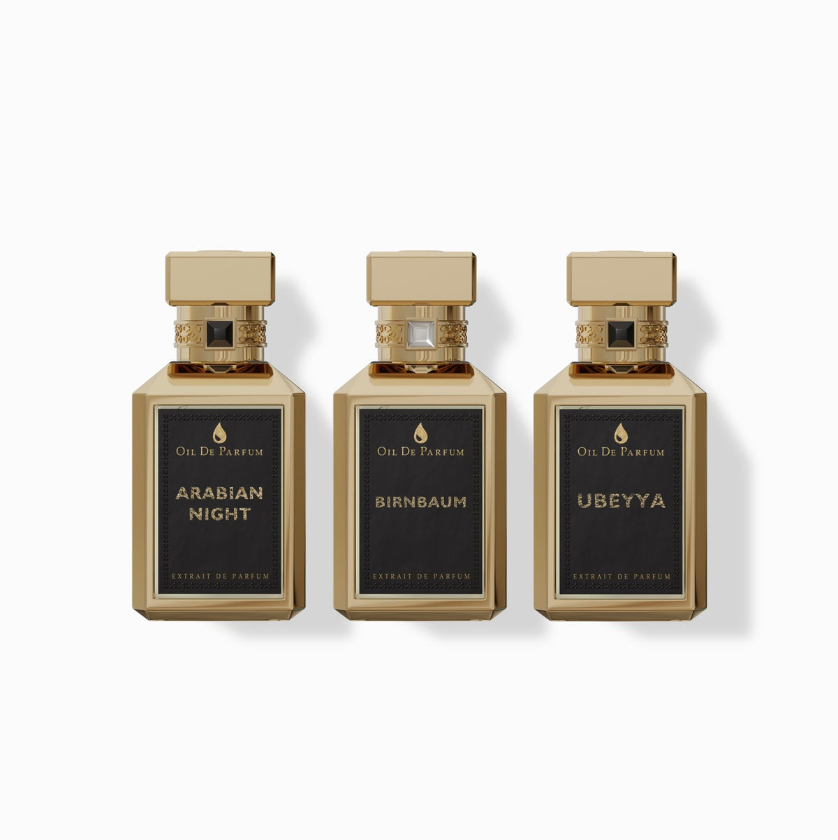 BIRNBAUM BUNDLE