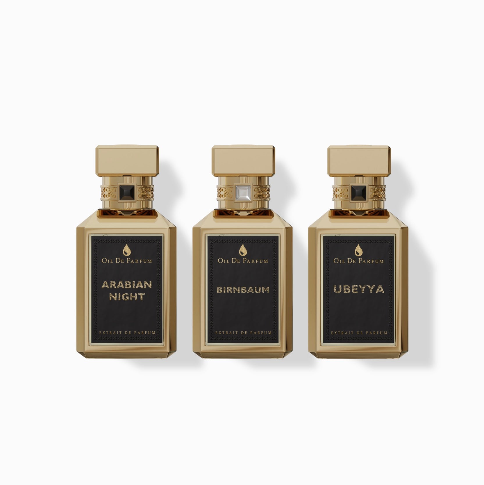 BIRNBAUM BUNDLE