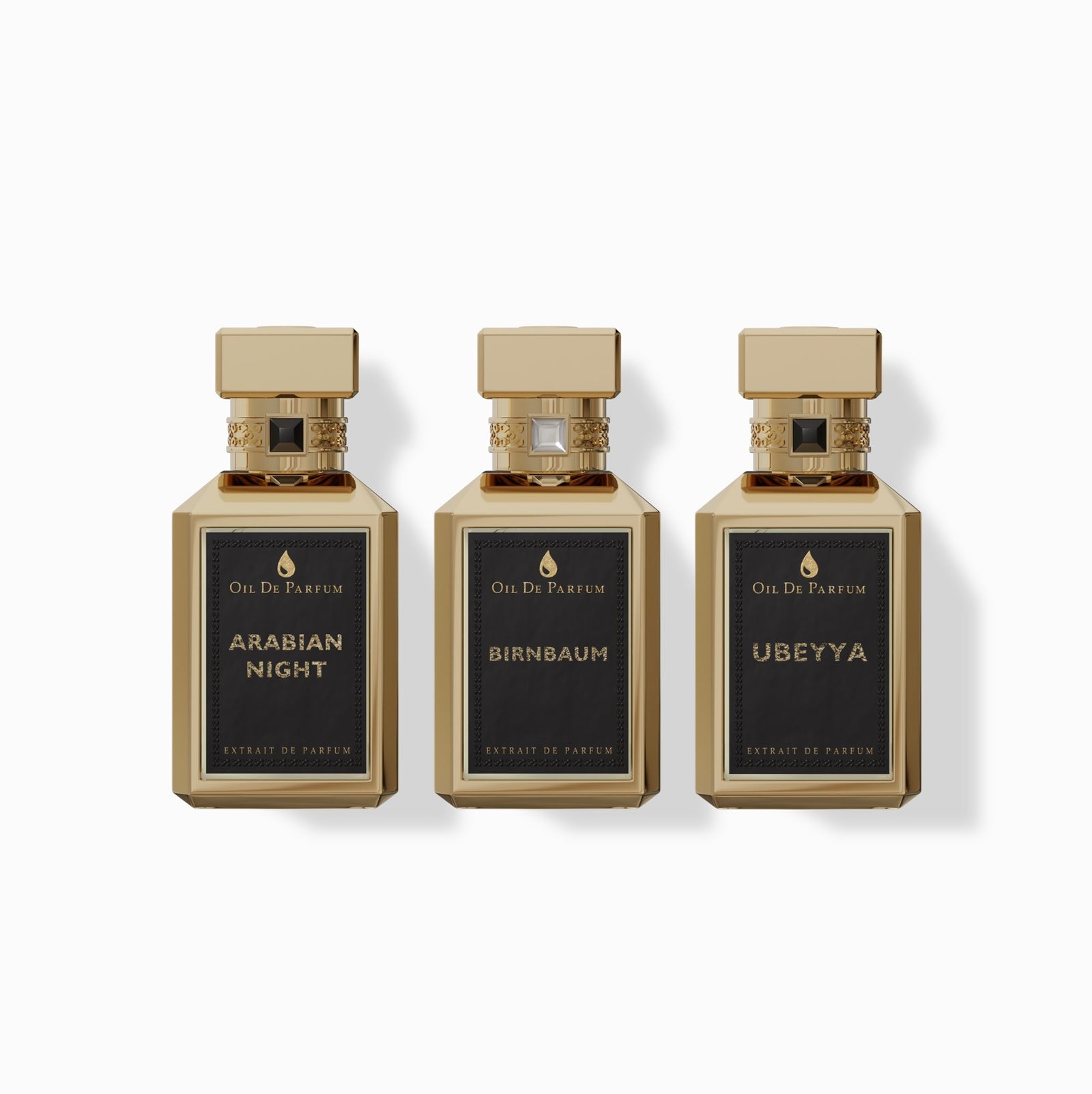 BIRNBAUM BUNDLE